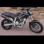 cagiva elephants