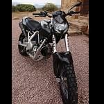cagiva elephants